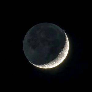 欧美性爱一级视频
