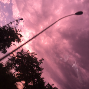 欧美性爱一级视频
